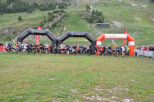 La meute est lachée !!!