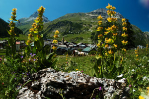 LES BALCONS DE VAL D’ISERE