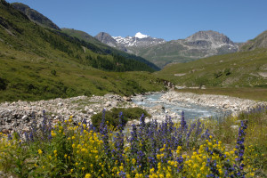 LES BALCONS DE VAL D’ISERE